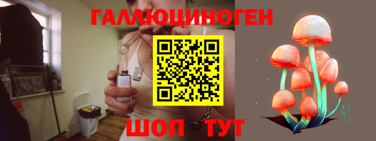 Псилоцибиновые грибы GOLDEN TEACHER  Псилоцибиновые грибы мухоморы  купить закладку  Коркино  Вход с VPN 